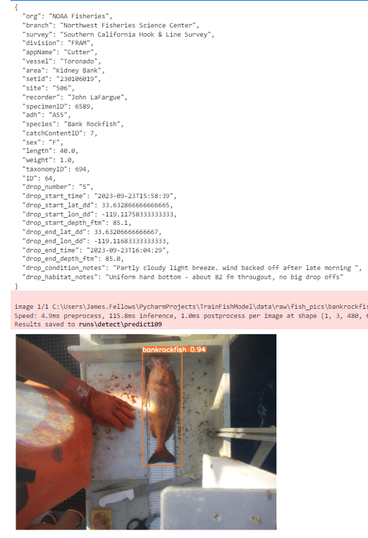 JSON Metadata Example